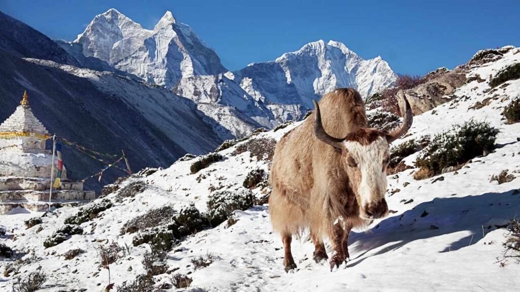 Winter Season in Nepal